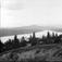 Kort: S. Fron. Golaa seet fra Smiths villa. 1/7 1903. Bygninger, innsjø (Gålåvatnet), trær, fjellformasjoner.