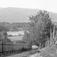 Nord-Fron 27.09.1908. Furuheim sett fra Hagen. Bygninger, gjerde, skigard, bjørketrær, vei, elv.
