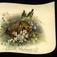 Nyttårskort. Motiv med fugler, vinkagge og blomster. Skrevet 01.01.1888.