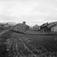 Søndre Bjøntegård, Øvre Rendal, Nord-Østerdal !920 årene. Tun.