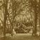 Oscarshall, Oslo. Mennesker samlet i parken. Bryllupsfest i 1869 for kronprins Frederik av Danmark og prinsesse Louise av Sverige.