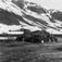 Fjøsgamme, tidligere fellesgamme.  Nordmannsvik 1952.