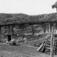 Bortstuu, Åsenhus, Soknedal, Midtre Gauldal, Sør-Trøndelag. Fjøs. Foto: Arne Berg, juni 1952.