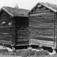 Bortstuu, Åsenhus, Soknedal, Midtre Gauldal, Sør-Trøndelag. Låve og bur, storbure' nærmest låven sett fra sør. Foto: Arne Berg, juni 1952.