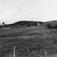 Fjøs og høyskjå, Laukhella 1952.