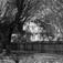 Blindern gård, Oslo 1953. Hovedhuset og hagen sett fra oppkjørslen. Dr. Engelstads storgårdsundersøkelser.