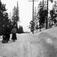 Oslo. 1908-1910. Vintermotiv. Skog. Brøytet vei. To skiløpere og en mann på kjelke trukket av hest.
