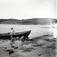 Ved Bygdøy Sjøbad, Oslo 1908. Oversiktsbilde.Tre kvinner på fjorden i pram, en kvinne står på stranda.
