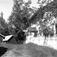Viken, Hurdal, Akershus 1954. Hovedbygningen og uthus. Storgårdsundersøkelser ved dr. Engelstad i 1954.