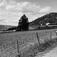Berg, Ringsaker, Hedmark. Gården fra veien.
Fra dr. Eivind S. Engelstads storgårdsundersøkelser 1955