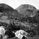 Landskap, Buskerud 1930. Oversiktsbilde. Seterbuer. Skog. Fjell i bakgrunnen.