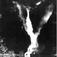 Rjukanfossen, Tinn, Telemark.