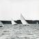 Seilregatta på Hankø. Tre seilbåter i full fart over fjorden. En seilbåt nærmere land.