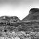 Sikkilsdalsseter, Nord-Fron 1935. Buskap på beite. Fjell i bakgrunnen. Snøflekker her og der.