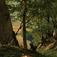 Postkort. Jule- og nyttårshilsen. Sommermotiv. Skog. Kvinne liggende i gresset. Mann. Datert julaften 1893.