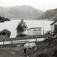 Øvrebotten, Gaular, Sogn og Fjordane. Lite hvitt skolehus mot fjordlandskap. Gressende fjording fremst i bildet. Bygget i 1892. Registrering utført 1958-59 av Johan Schiong for Noregs Lærarlag.