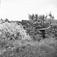 Seterfjøs, Dølvadsætra, Oppdal, Sør-Trøndelag. Fotografert 1940. Fra album.