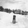 Sittende hund i vinterlandskap, snø, bartrær, og to bygninger i bakgrunnen. Muligens Fefor sanatorium, Nord-Fron i Gudbrandsdalen.