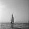 Hankø, Fredrikstad, Østfold, juni 1954. Seilbåt.