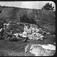 husmannsplass, gruppe12, tuntre,