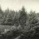 Rophaug hage 1910