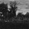 Humlehaven