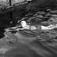 Det lå ofte kvalfett i hamna med ungene badet der likevell..(Filmbeholder 22907  8x11 34T .Datert 1946-1947)