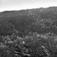 Raumavassdraget...Vermafossen.