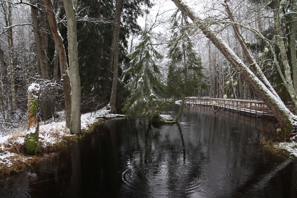 Ingbo källor