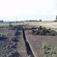 Arkeologisk undersökning, Gamla Uppsala, Uppland 2003
