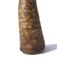 Horn
